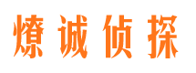 武义市调查公司